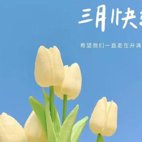 三月呀🌸💐——托班