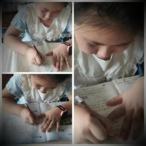 张艺晗的快乐暑假