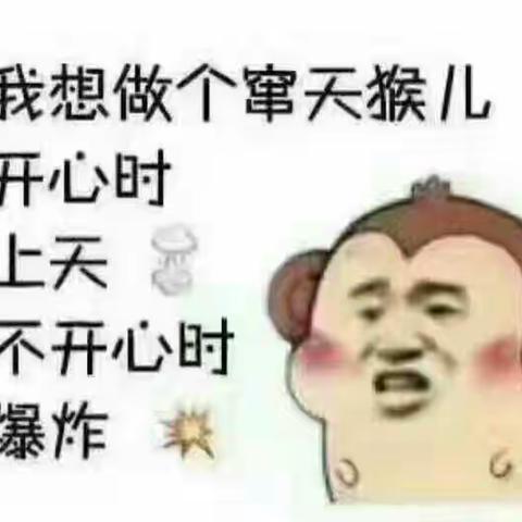 我的美篇