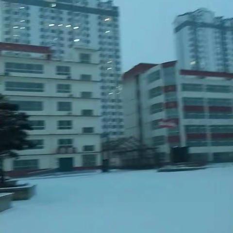 花开有声的美篇