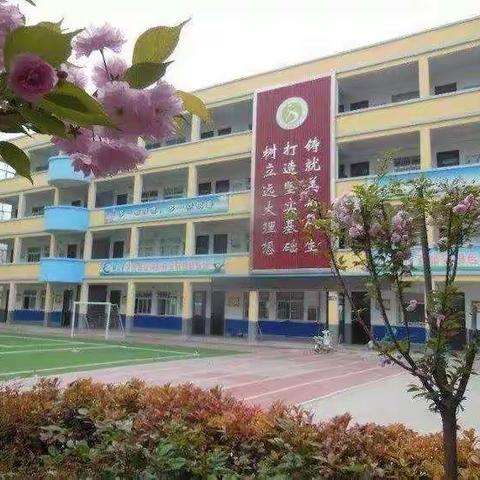 城关镇西街小学三一班———成长的足迹