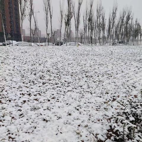 洪寺环境清洁日与2019年第一场雪不期而遇