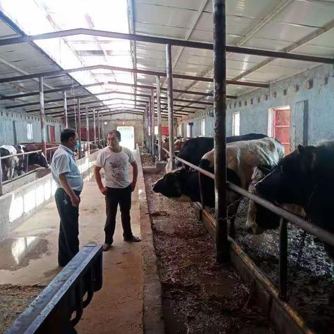 做好“六稳六保”工作，助力复工复产金融服务