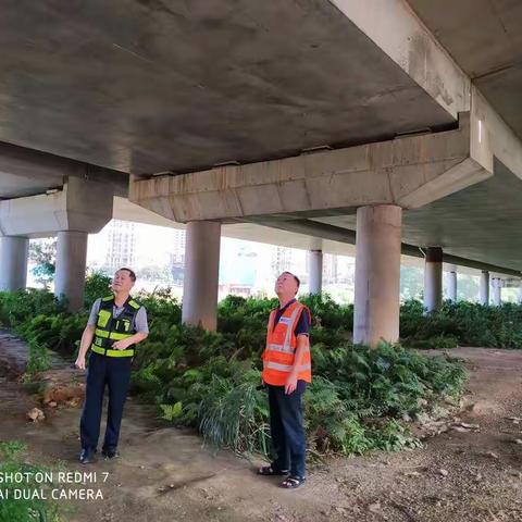 市交通运输局坪山管理局养护监管科对绿梓大道跨线桥进行桥梁安全检查