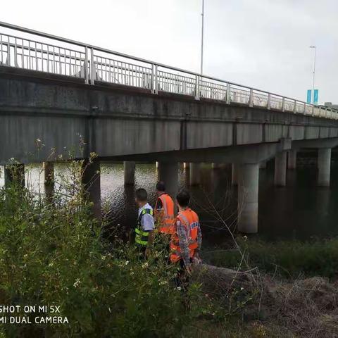 市交通运输局坪山管理局养护监管科对荔景南路跨河桥进行桥梁安全检查