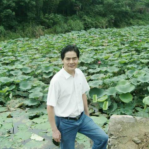 题江西萍乡上栗小西湖十二景联/胡佑荣