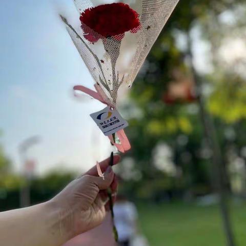 母亲节“以爱之名 花语诉情”小小记者实践活动