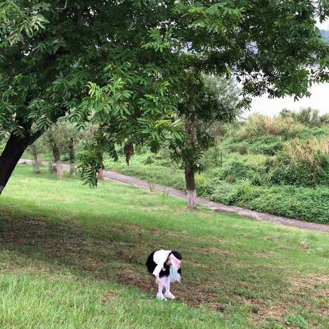 我是环保♻️小卫士😊