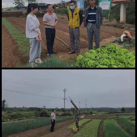 临高县全力做好疫情期间市场保供稳价工作