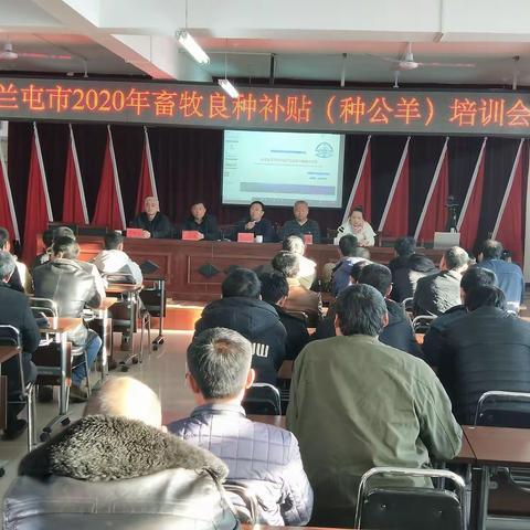 市农牧和科技局领导到中和镇召开2020年畜牧良种补贴(种公羊)培训会