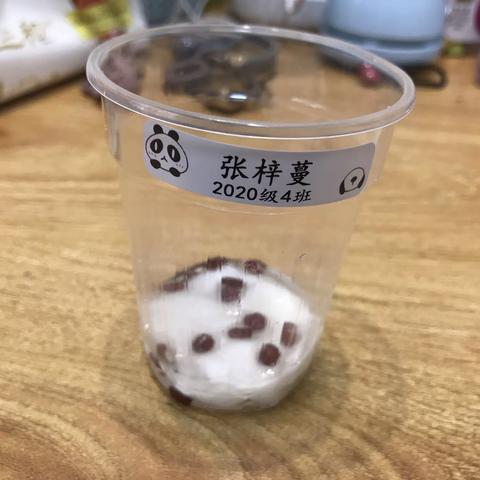 小红豆发芽记