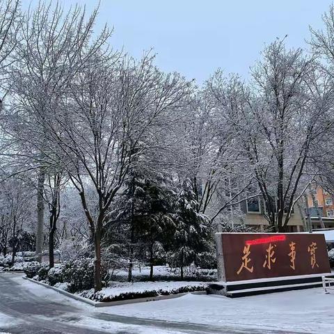 2023年的第一场雪，景美，人更美！