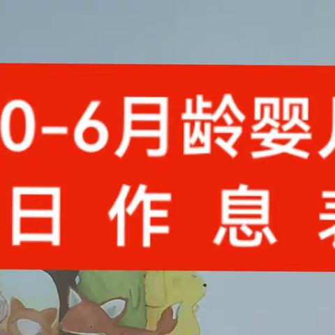 制定0-6月龄婴儿的一日作息表/考试默写