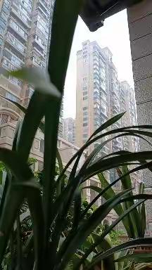 【居家学习】亲子夜聊：春雨嘀嗒