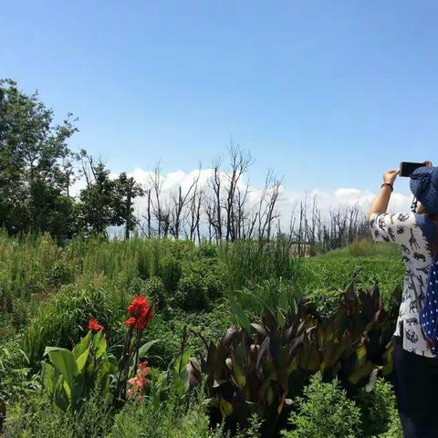 彩云之南~❤的远方~