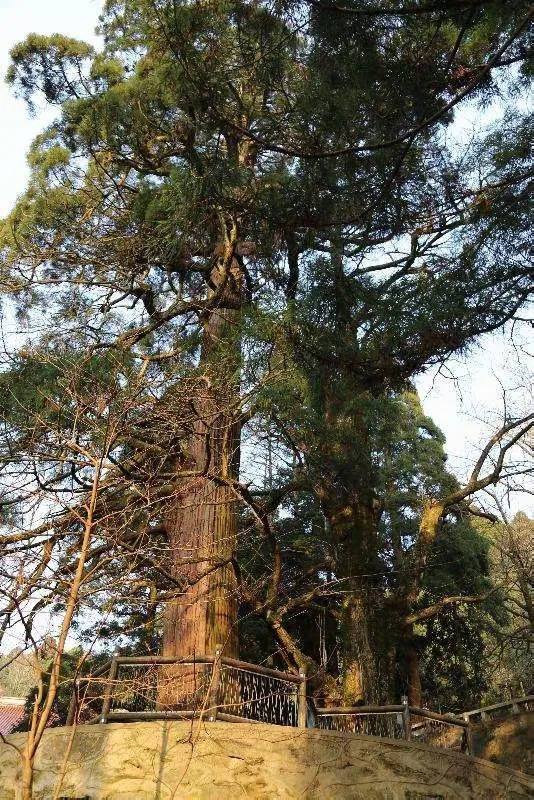 宋工的美篇《峯山苦旅-庐山》