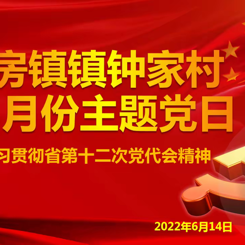 钟家村党支部2022年6月份“学习贯彻省第十二次党代会精神”主题党日及2022年上半年度民主评议会议