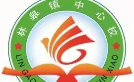 “双减”政策落实地   快乐学习伴成长—林皋中心校开展课后服务典型案例纪实