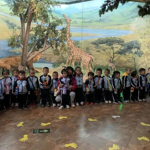 春风十里不如十月的你🌸IK1-B