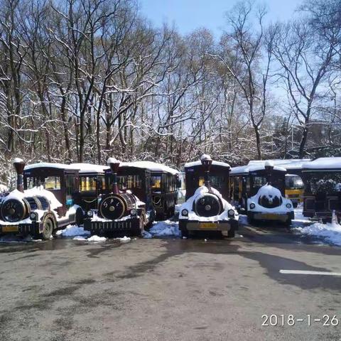 南京笫二场冬雪～踏雪梅花谷、石象路、明孝陵、紫霞湖、梅花山。