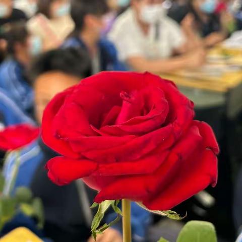 同心 同力 同行