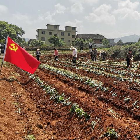 不忘初心学党史   我为群众办实事