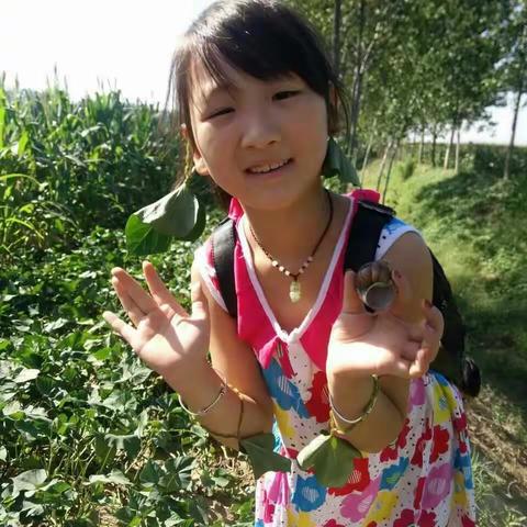 家校合作——北街小学北场校区 二五班快乐童年剪影
