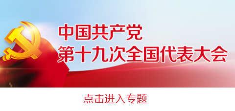 习近平强调，坚定不移全面从严治党，不断提高党的执政能力和领导水平