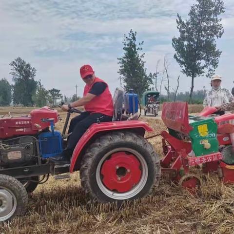 “三夏”助农收小麦 劳模先进暖人心（二）