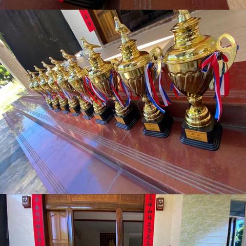 丰塘信鸽俱乐部2022年生活写照