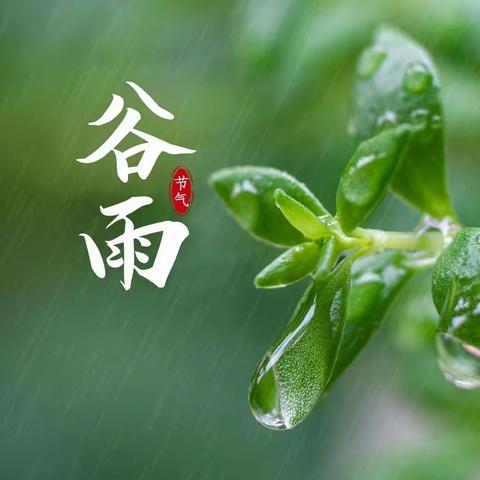 时至暮春，雨生百谷