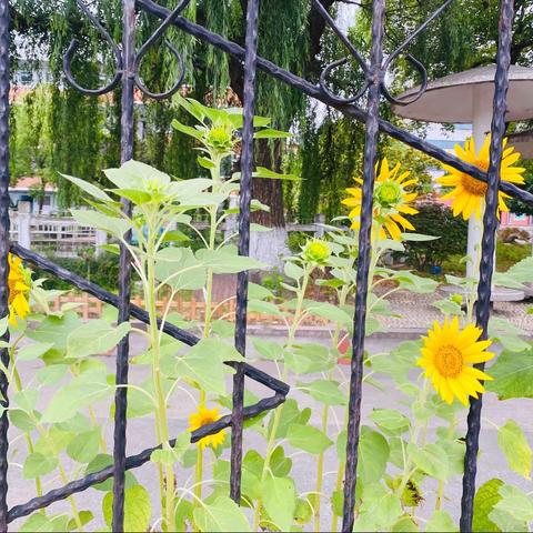 王泽辉专业队美篇