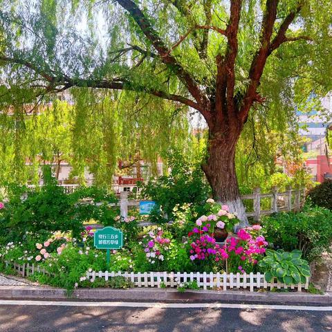 2023年（上）美术儿童画社团（荆）