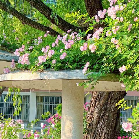 儿童画社团（荆丽敏）