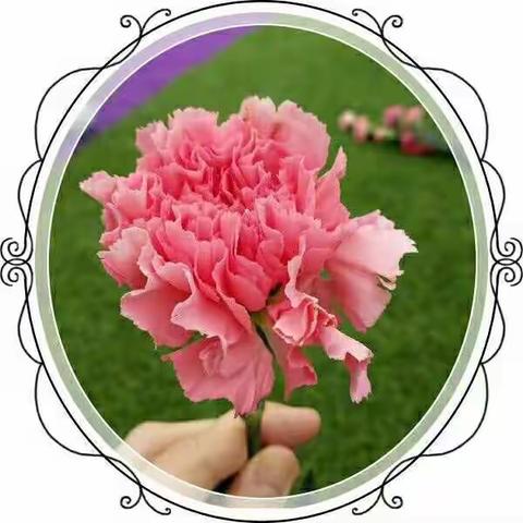 成长1班纪念册💝