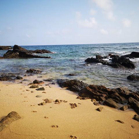 海边听涛声（三）