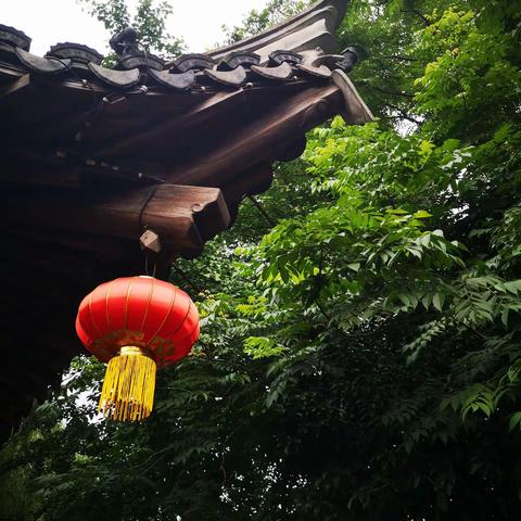大红灯笼高高挂