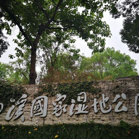 杭州西溪湿地公园