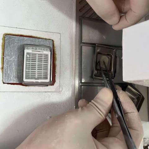 病理组织包埋过程及要点