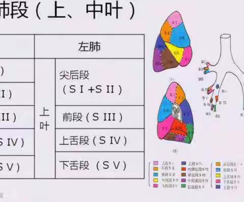 基础篇