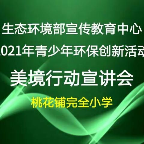 桃花铺小学举行“美境行动”项目申请专题会