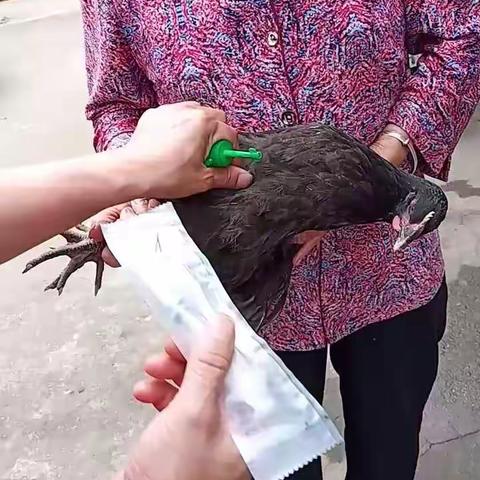 萍乡市志愿者给贫困户送疫苗