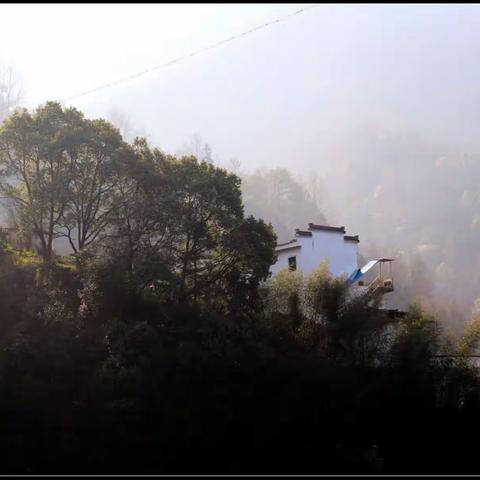 山水画廊～三潭人家