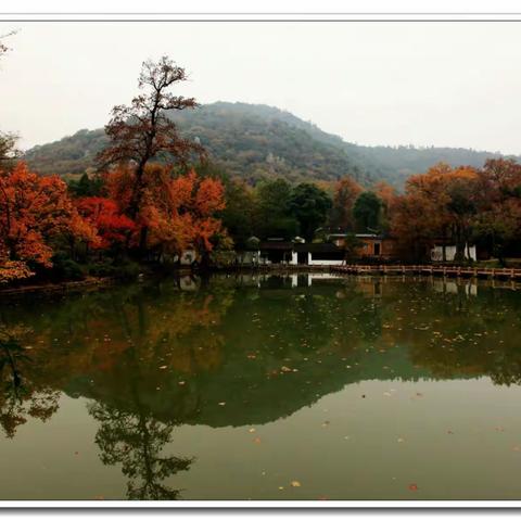 秋意浓，天平红枫甲天下!