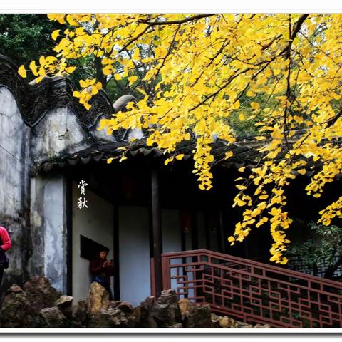 缘起秋风～惠泉山麓