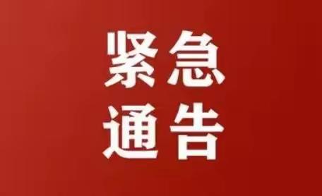 张炉集镇关于集中开展区域核酸检测的通告