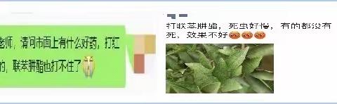 热门杀螨剂成分，效果差距这么大！