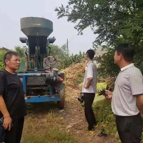 昌黎县秸秆收购项目试运行