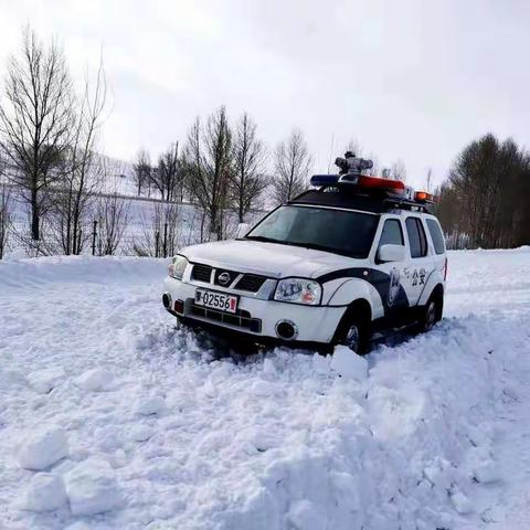 你的风景  我的“雪”警