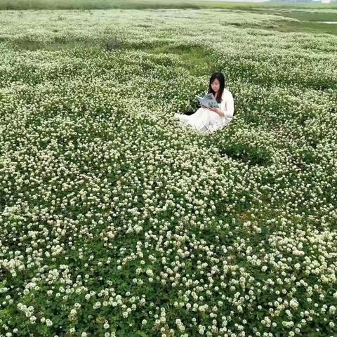 陡岗书，陡岗人，难了今生陡岗情